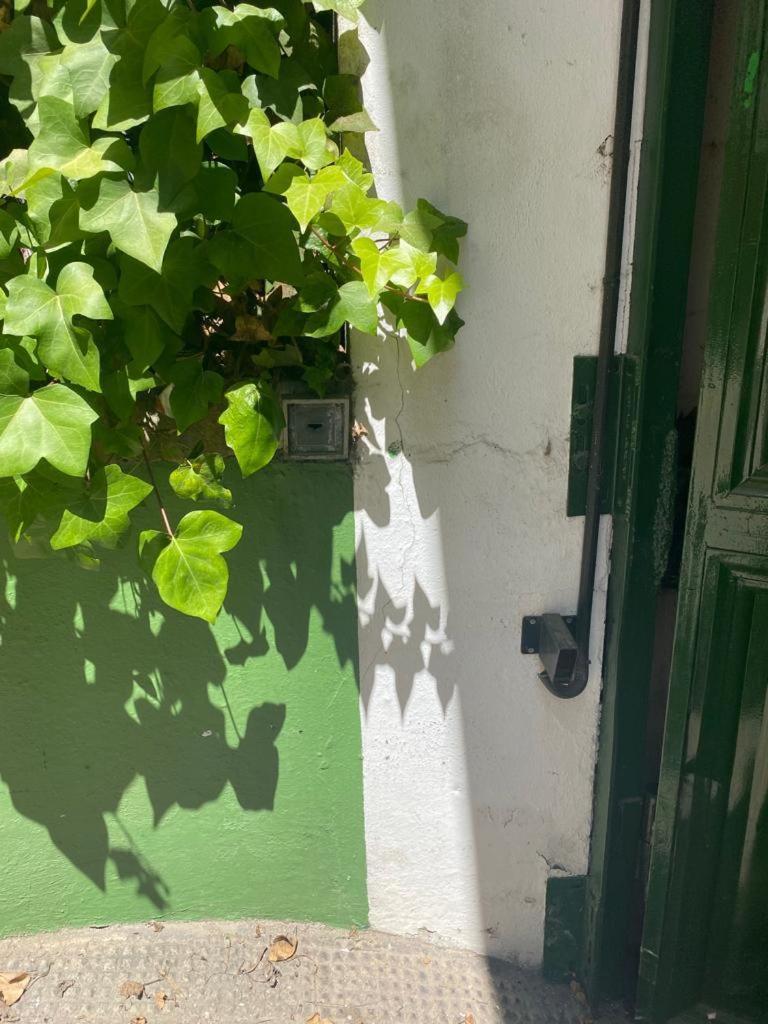 Rentalsevilla San Clemente Exteriér fotografie